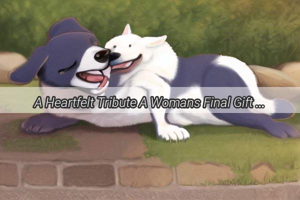 A Heartfelt Tribute A Womans Final Gift to Her Beloved Dog